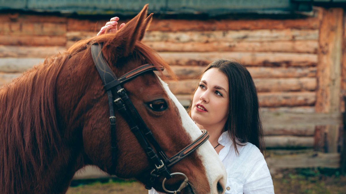 horse whisper 1200×675