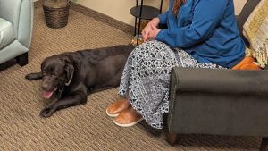 Dog assisted therapy in this photo the dog is resting at our feet
