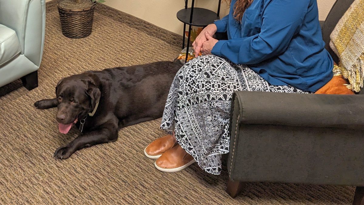 animal assisted therapy 1200×675
